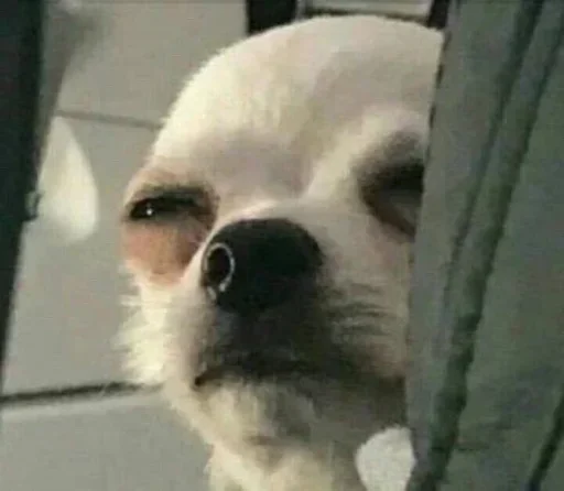 Sticker Keeot_by_zzubot - 1