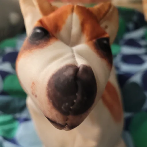 Кега БЛОПТОП - 