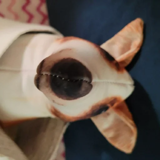 Sticker KegaBLOPTOP2 - 1