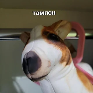 Стикер Кега БЛОПТОП - 6