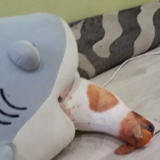 Стикер Кега БЛОПТОП - 9