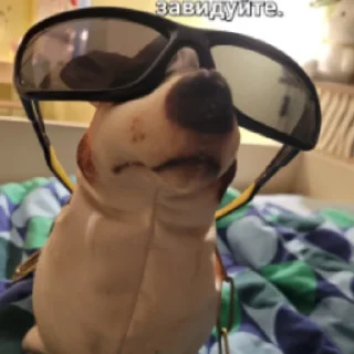 Стикер Кега БЛОПТОП - 11