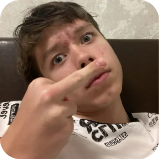 Sticker Кэмл - 2