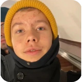 Sticker Кэмл - 8