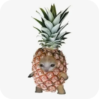 Стикер Кэты - 5