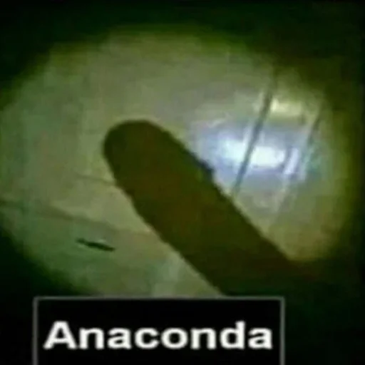 text animal invertebrate