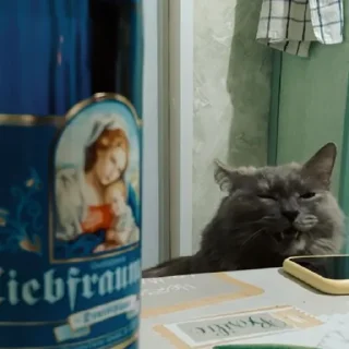 Стикер Настя и Кекус - 9