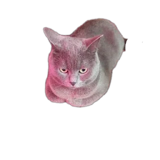 Стикер Кекс - 0