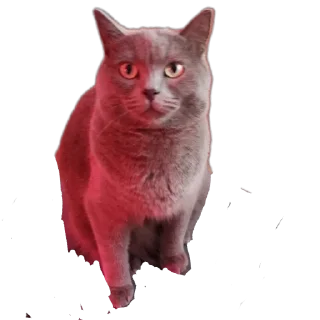 Стикер Кекс - 1