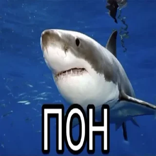 Sticker Kemazxzxzx - 9