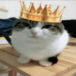 Sticker Kemazxzxzx - 7