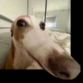 Sticker Kemazxzxzx - 1