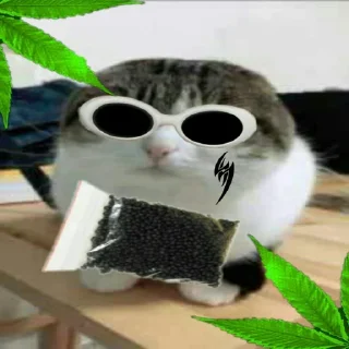 Sticker Kemazxzxzx - 8