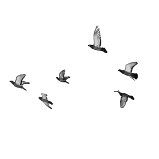 Sticker Kenias22 - 1