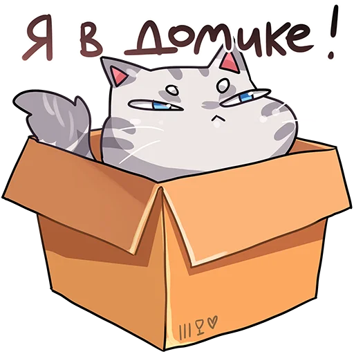 cat cartoon container