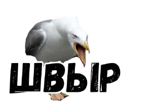 Sticker kenshibek - 9