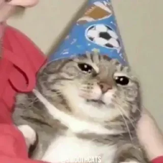 Sticker Kerberos pack - 5