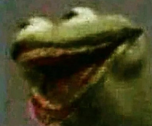 животное лягушка амфибия