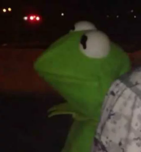 лягушка амфибия животное