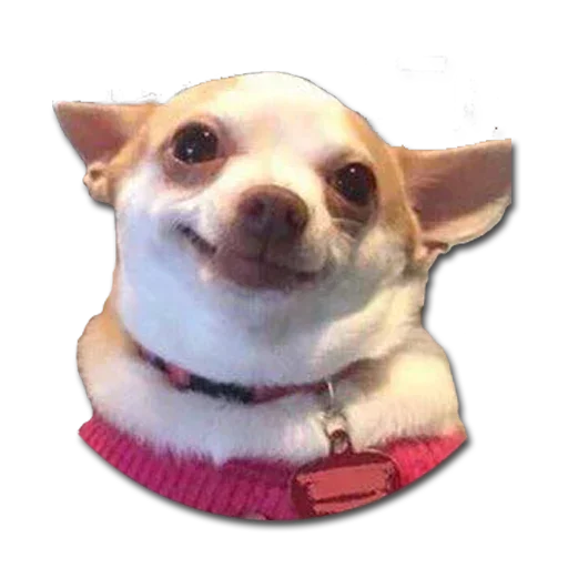 Sticker Keshi_pack - 9