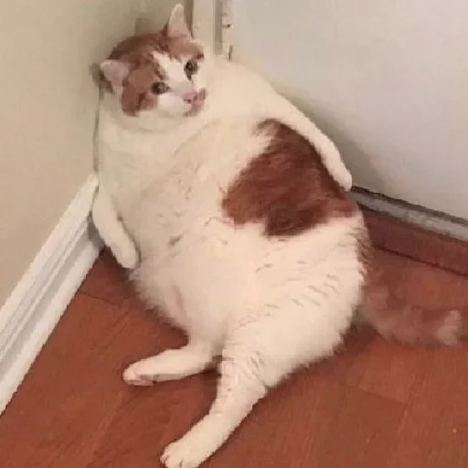 Sticker Keshi_pack - 7