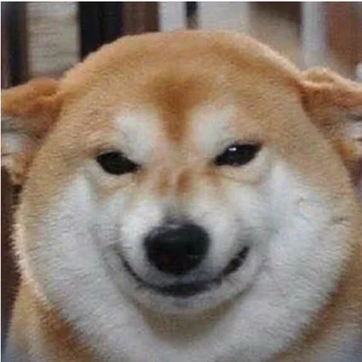 Sticker Keshi_pack - 3