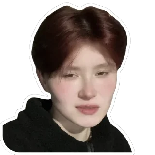 Стикер Кешик - 5