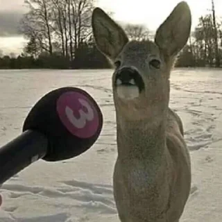 Стикер Больше стиков тут: @stikery4 - 4