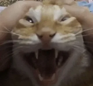 Стикер Больше стиков тут: @stikery4 - 11