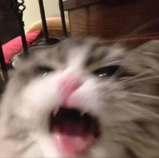 Стикер Больше стиков тут: @stikery4 - 7