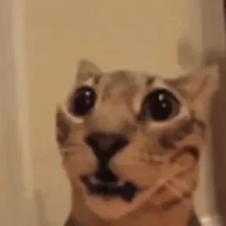 Стикер Больше стиков тут: @stikery4 - 8