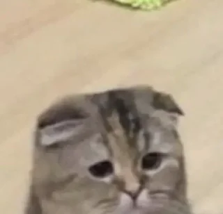 Стикер Больше стиков тут: @stikery4 - 5