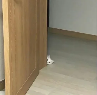 Стикер Больше стиков тут: @stikery4 - 3