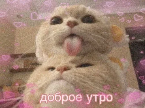 Стикер KgIbmXithQUYdeZ_by_stickers_stealer_bot - 1