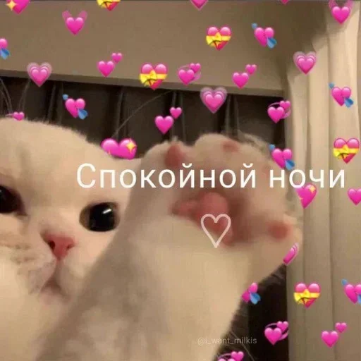 Стикер KgIbmXithQUYdeZ_by_stickers_stealer_bot - 1