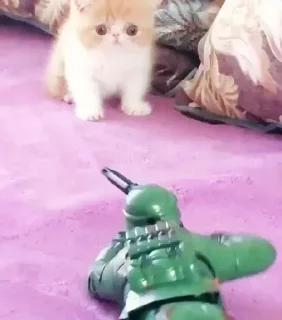 Sticker Больше стикеров 👉🏻 @stickertg4 - 3