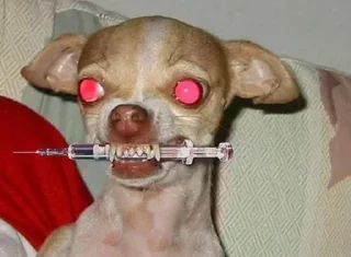 Sticker Больше стикеров 👉🏻 @stickertg4 - 1