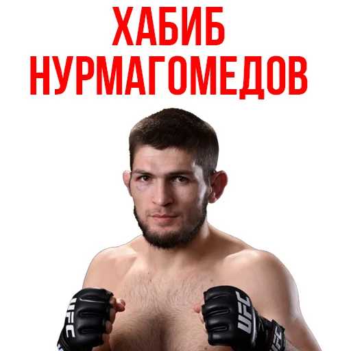 Khabib Nurmagomedov - human face