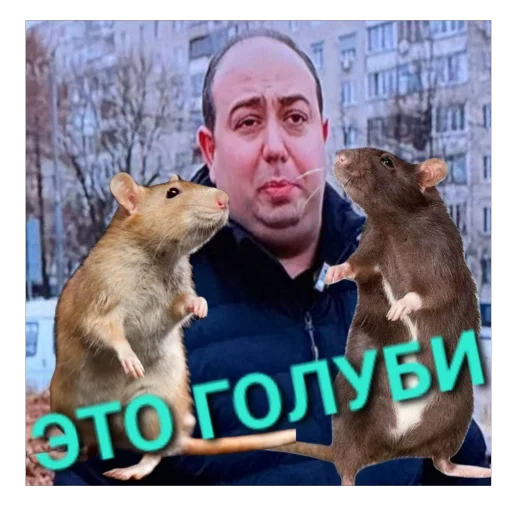 Стикер Khimki_life - 1