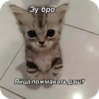 Sticker Хуй • @DayStikBot - 0