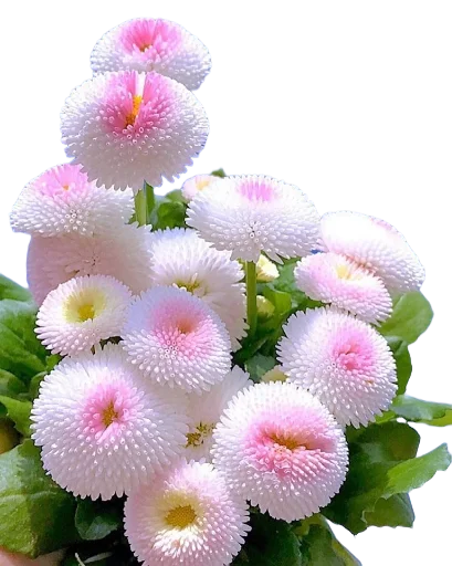 Стикер Khytfc - 1