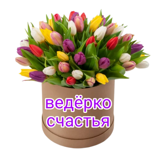 Стикер Khytfc - 1