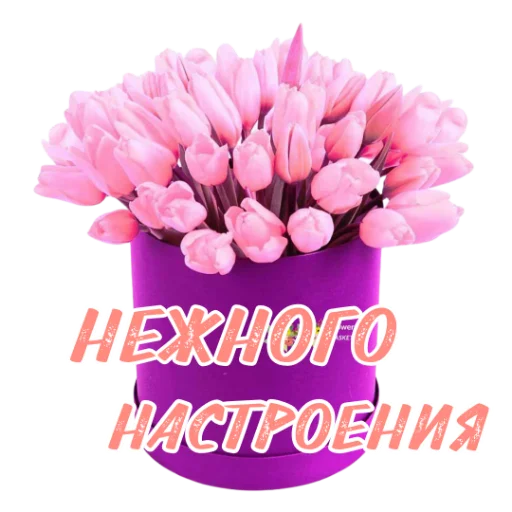 Стикер Khytfc - 1