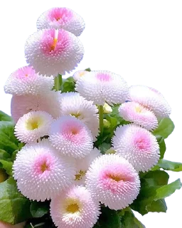 Sticker @rabota_onlain54 - 9