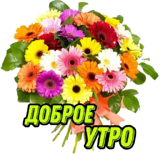 Sticker @rabota_onlain54 - 11