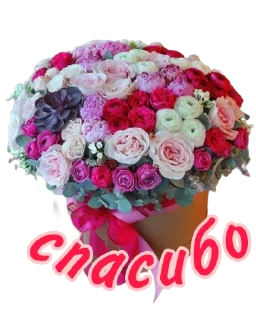 Sticker @rabota_onlain54 - 1