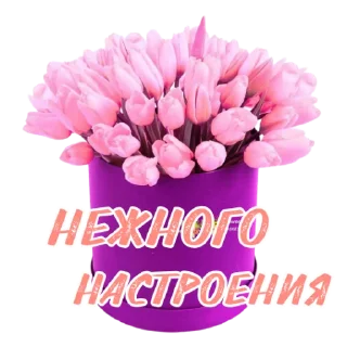 Sticker @rabota_onlain54 - 4