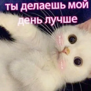 Стикер 🤍KiRa❤SaF🖤 - 10