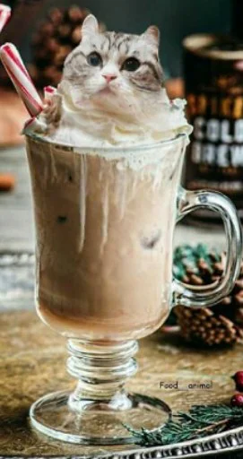 food beverage coffee