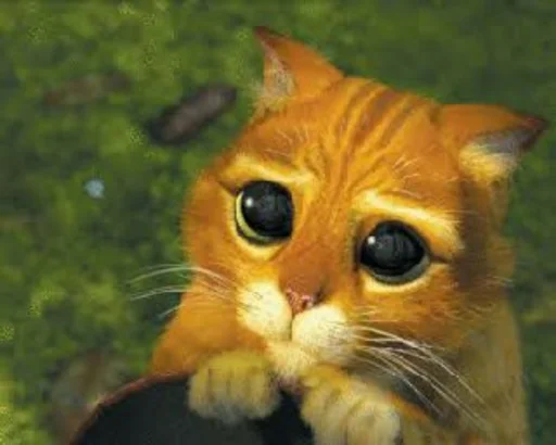 животное кошка млекопитающее